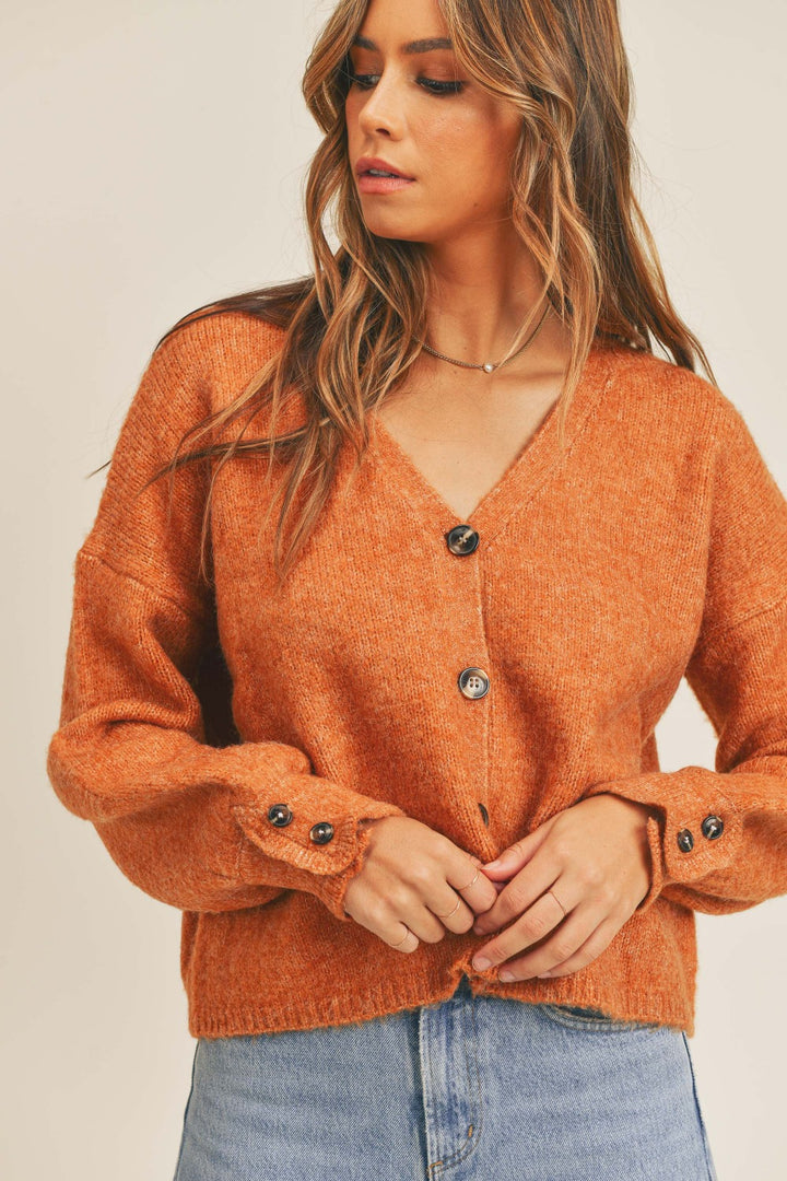 Long Sleeve Button Down Sweater in Rust